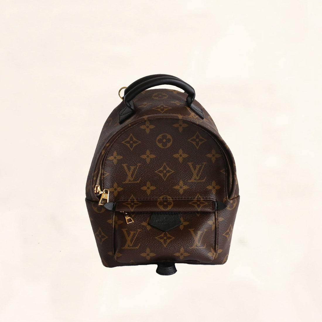 Louis Vuitton Palm Springs Backpack Mini M41562