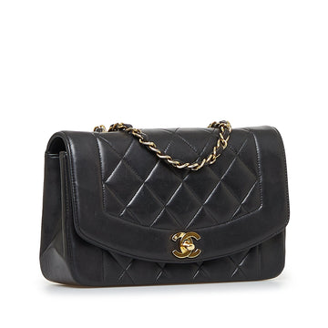 Chanel Diana Flap Crossbody Bag