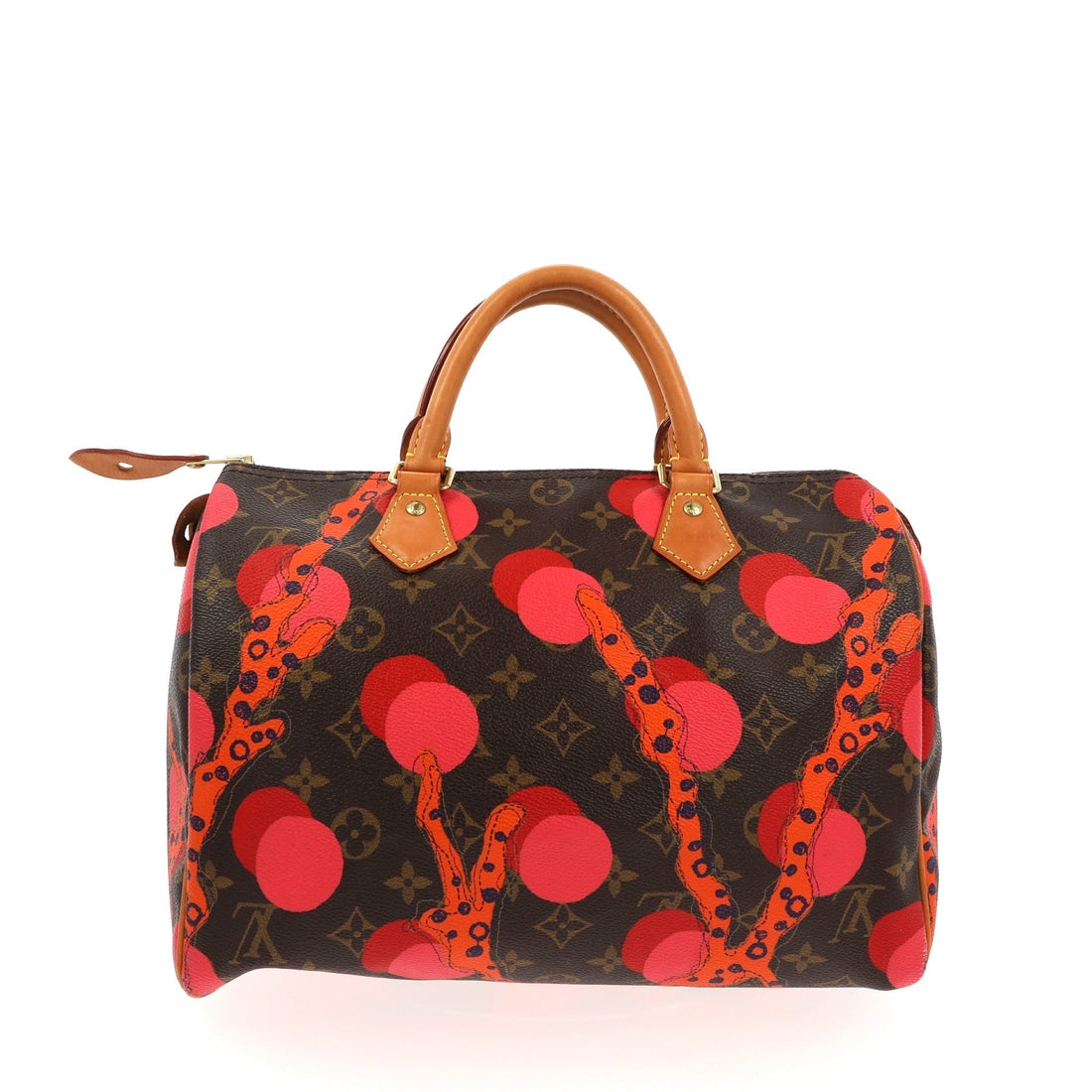 LOUIS VUITTON Speedy Handbag in Brown Canvas