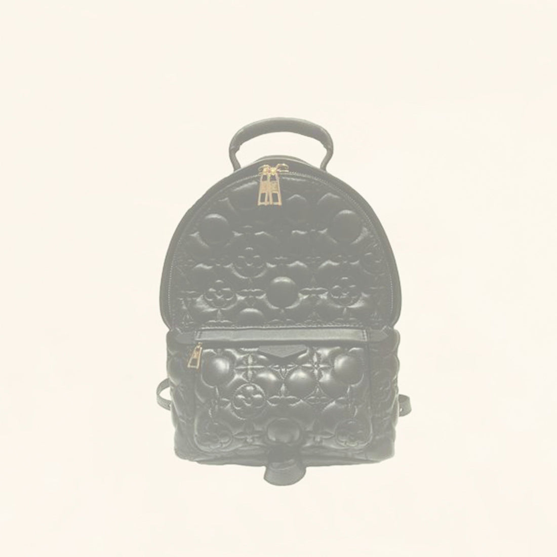 Louis Vuitton | Embroidered Lambskin Palm Springs BackPack | PM
