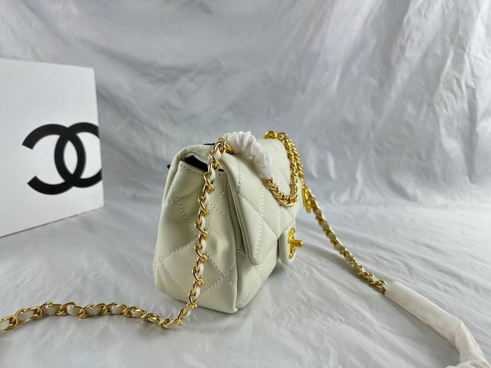 New Lux Bags Chanel  548