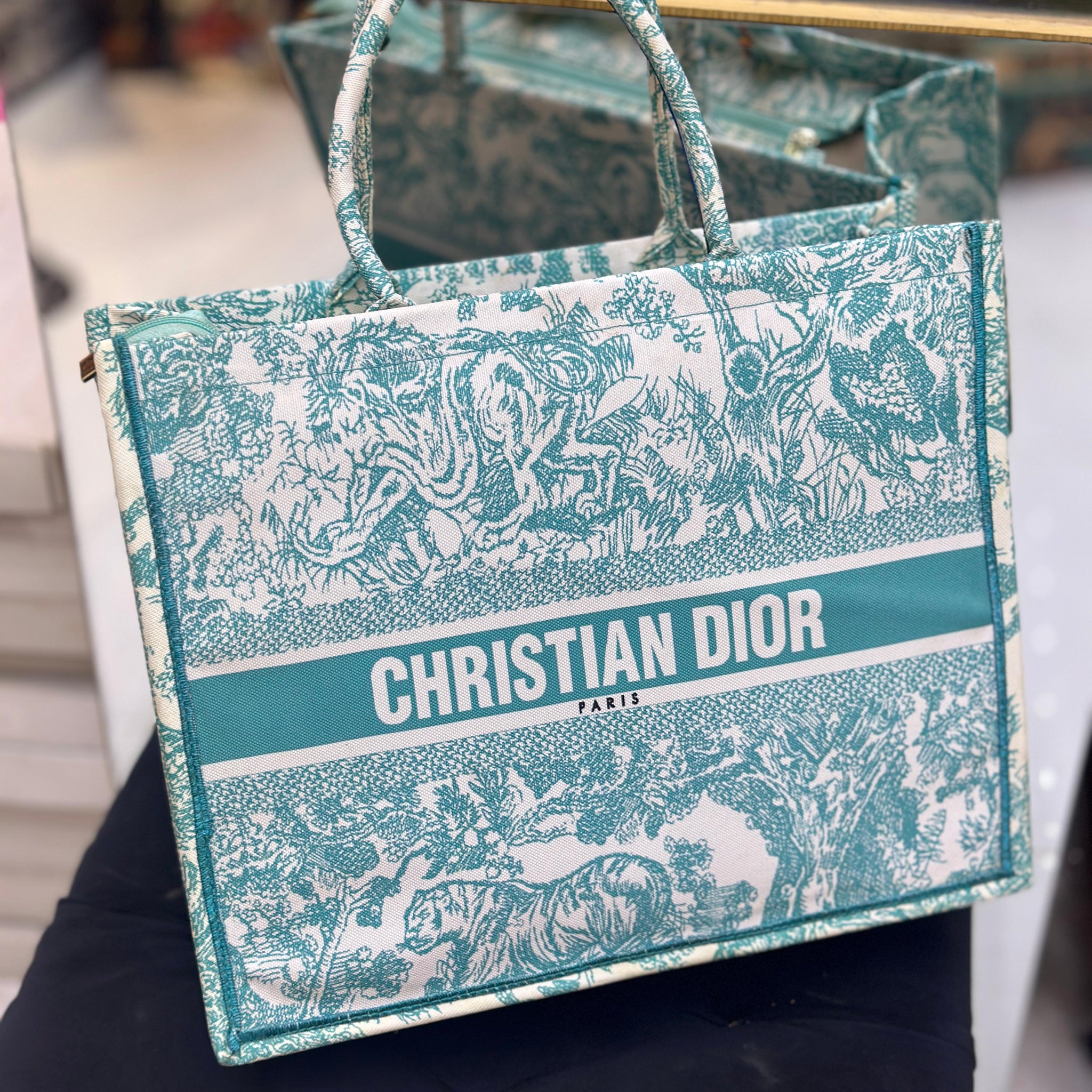 Christian Dior Women Bag  High-Quality Denim Tote (Green/White)
