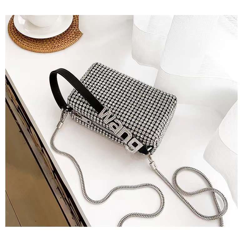 Alexander Wang Famous Women Bag  Premium Quality (Silver)