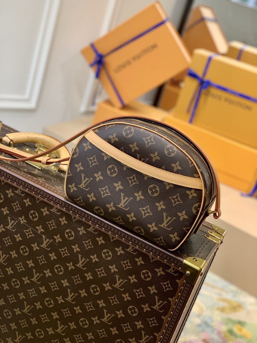 LV Blois Monogram Canvas For Womtlm, WoBags, WoShoulder Bags 9.8in/25cm LV M51221