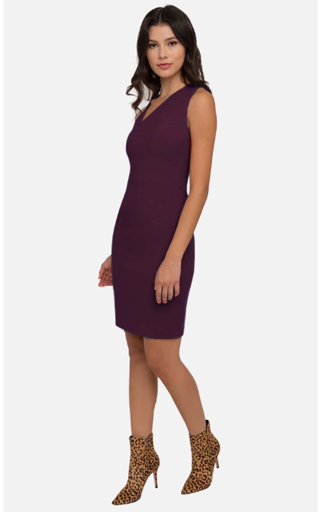 Sleeveless Maroon Red Dress