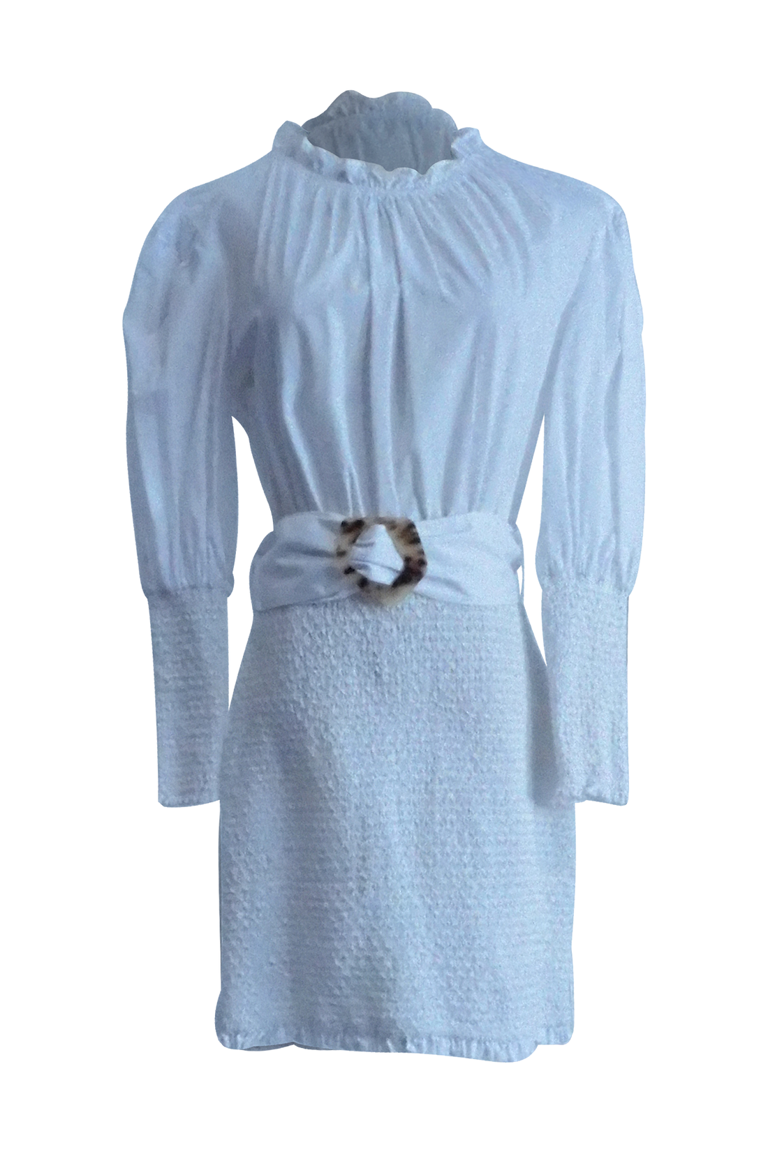 Ruffle Neck Longsleeve Dress