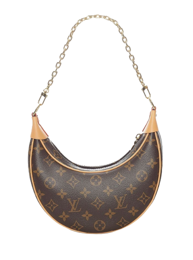 Louis Vuitton Monogram Loop shoulder bag