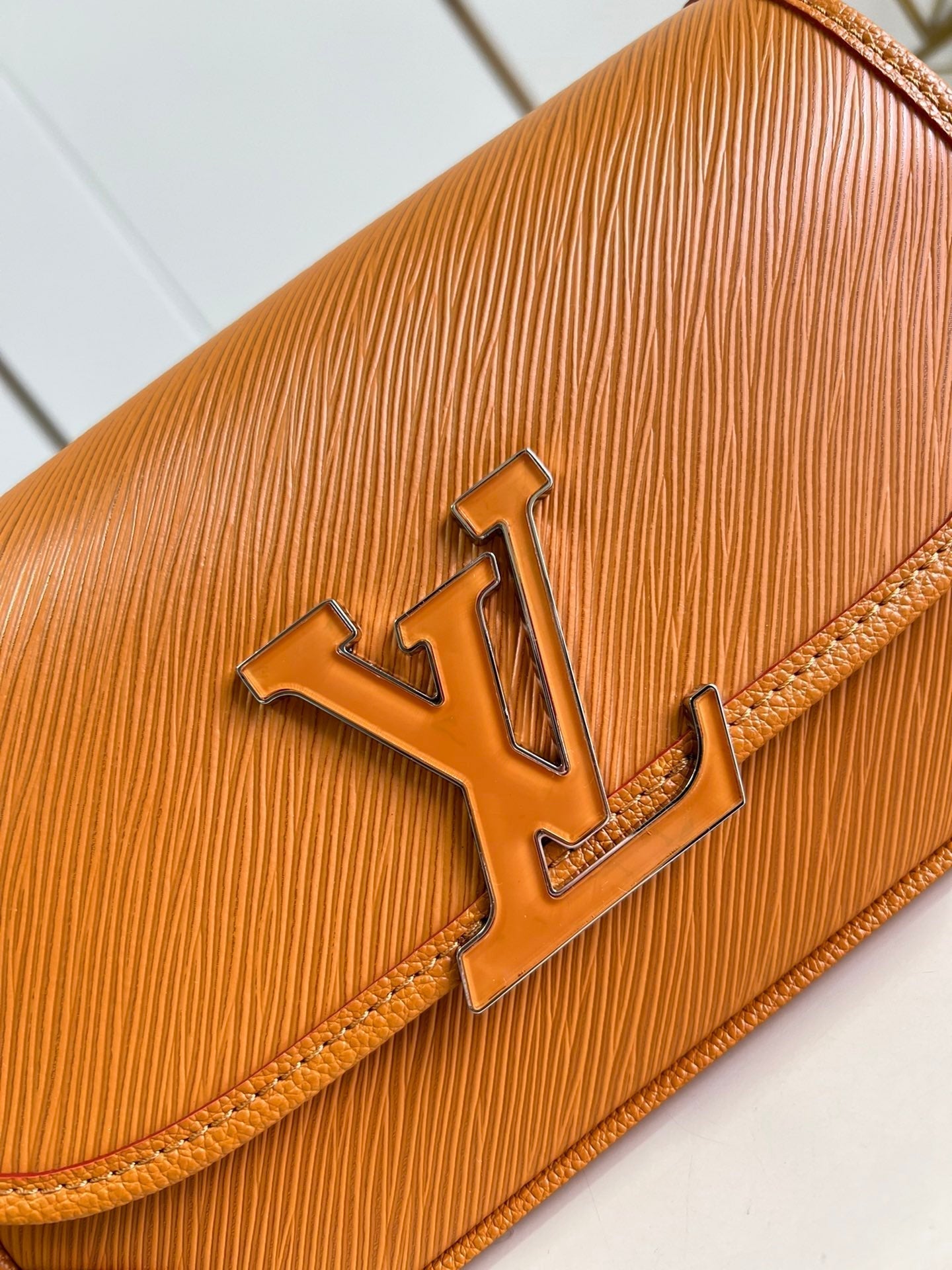 Louis Vuitton Buci Bag