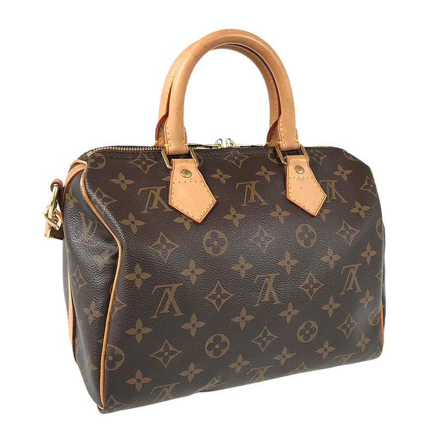 LOUIS VUITTON Handbag