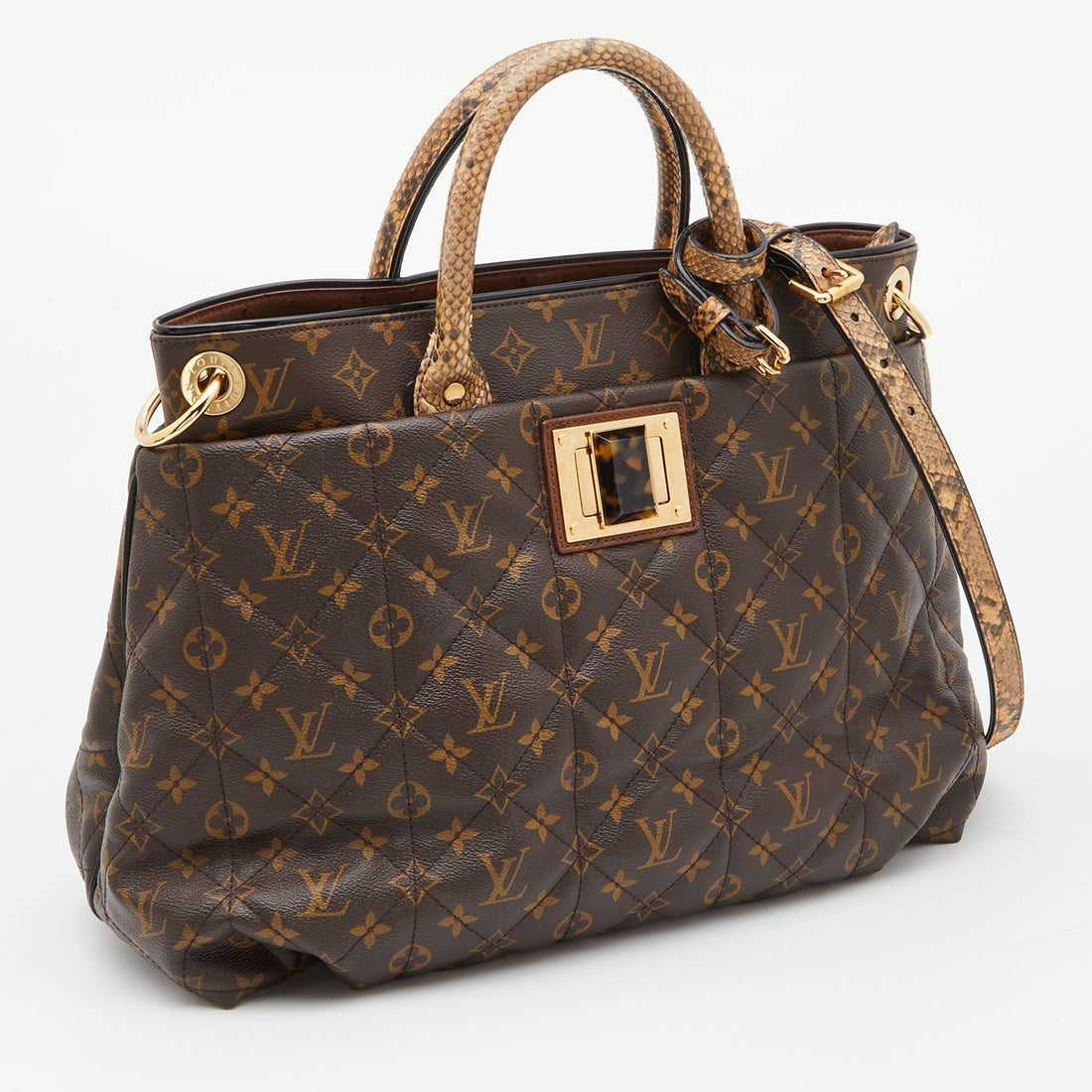 LOUIS VUITTON Monogram Canvas Limited Edition Etoile Exotique GM Bag