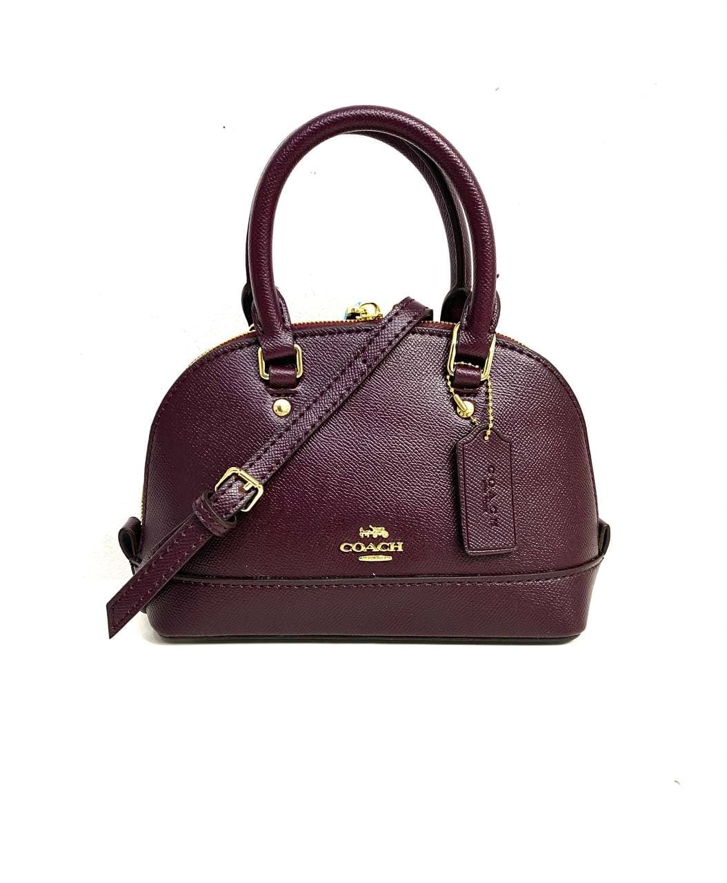 ???????? ??????????  ???????????? ?????????????? ??????