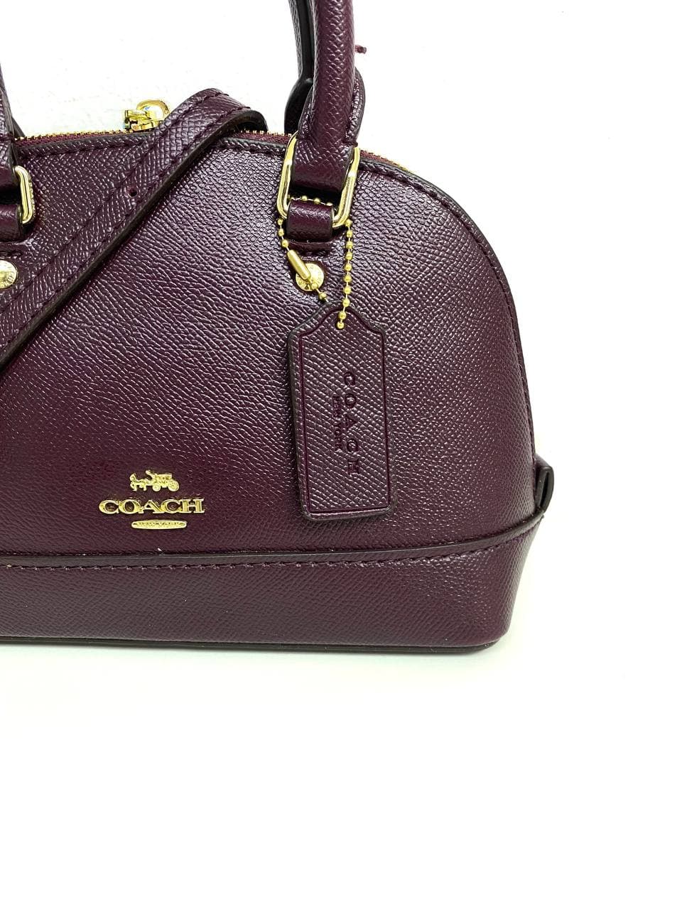 ???????? ??????????  ???????????? ?????????????? ??????