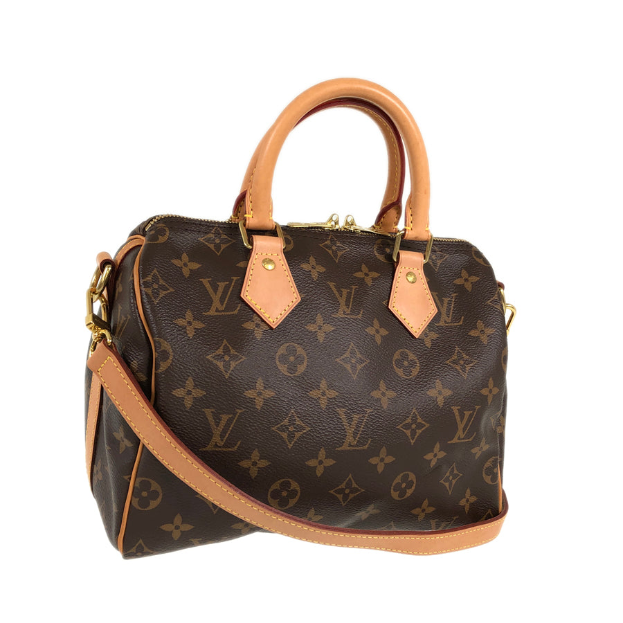 LOUIS VUITTON 2WAY Shoulder Handbag