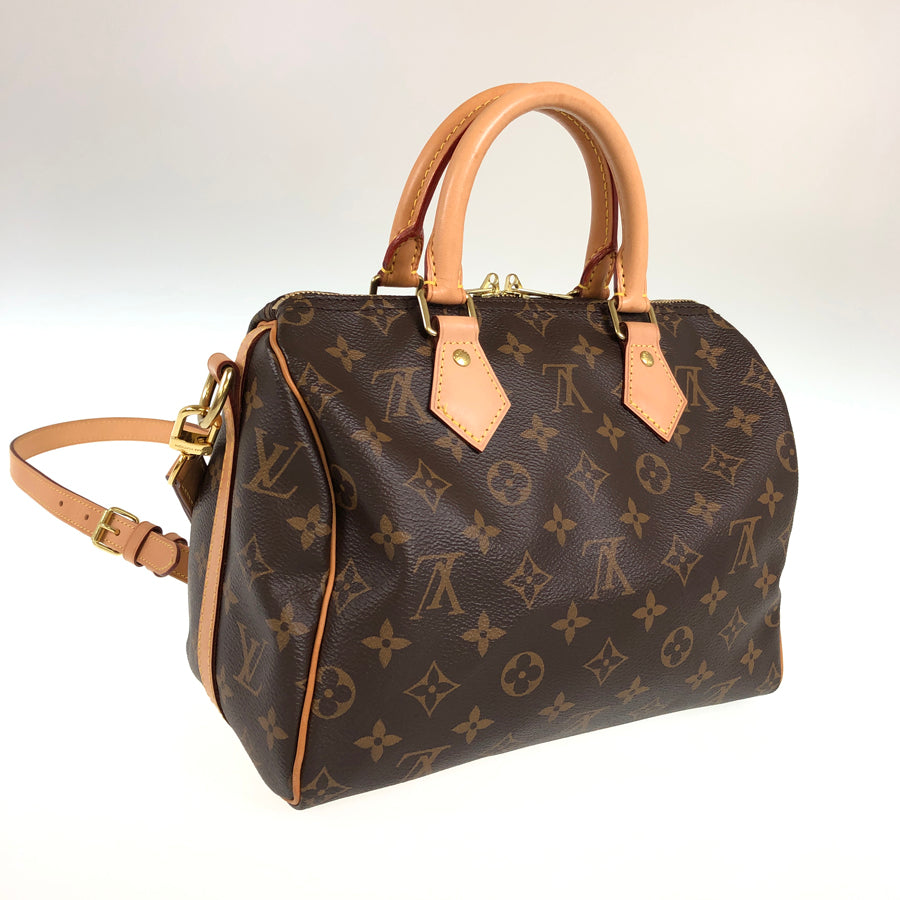 LOUIS VUITTON 2WAY Shoulder Handbag