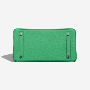 Birkin 30 Togo Vert Comics